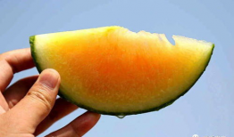 有什么娱乐圈瓜可以吃,揭秘明星幕后故事与精彩瞬间